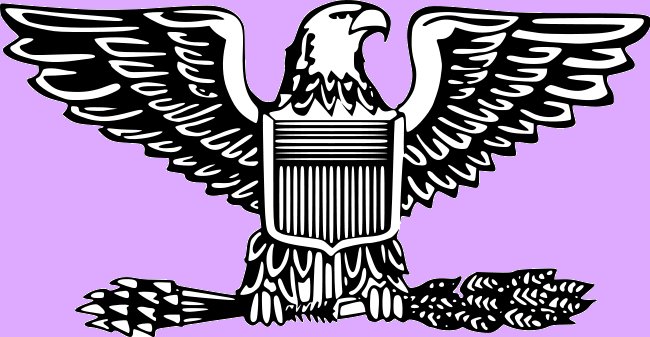 Insignia